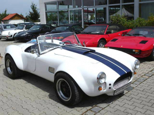 Saier - Cobra Saier - Cobra
